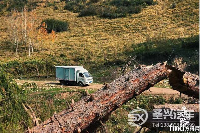 瓜果運(yùn)輸忙不停，祥菱開(kāi)創(chuàng)致富經(jīng)1