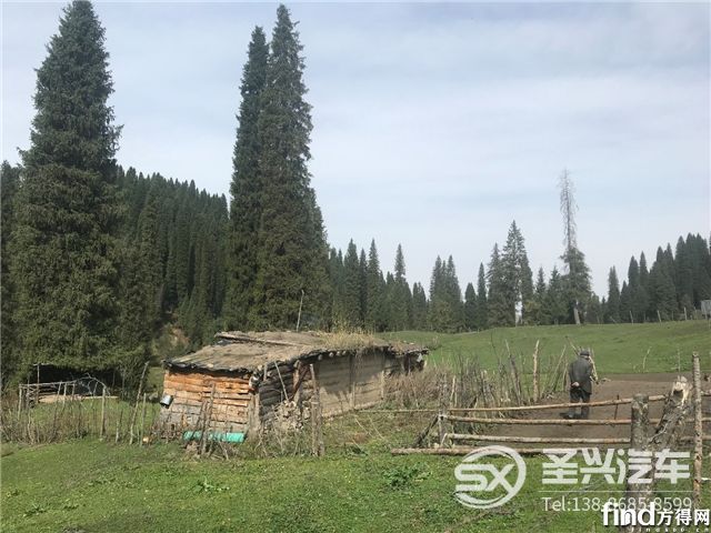 瓜果運(yùn)輸忙不停，祥菱開(kāi)創(chuàng)致富經(jīng)7